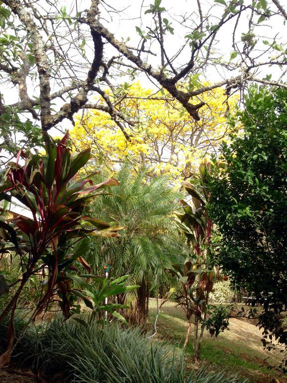 Pilas Aparthotel Villa Pacande & Rooms מראה חיצוני תמונה