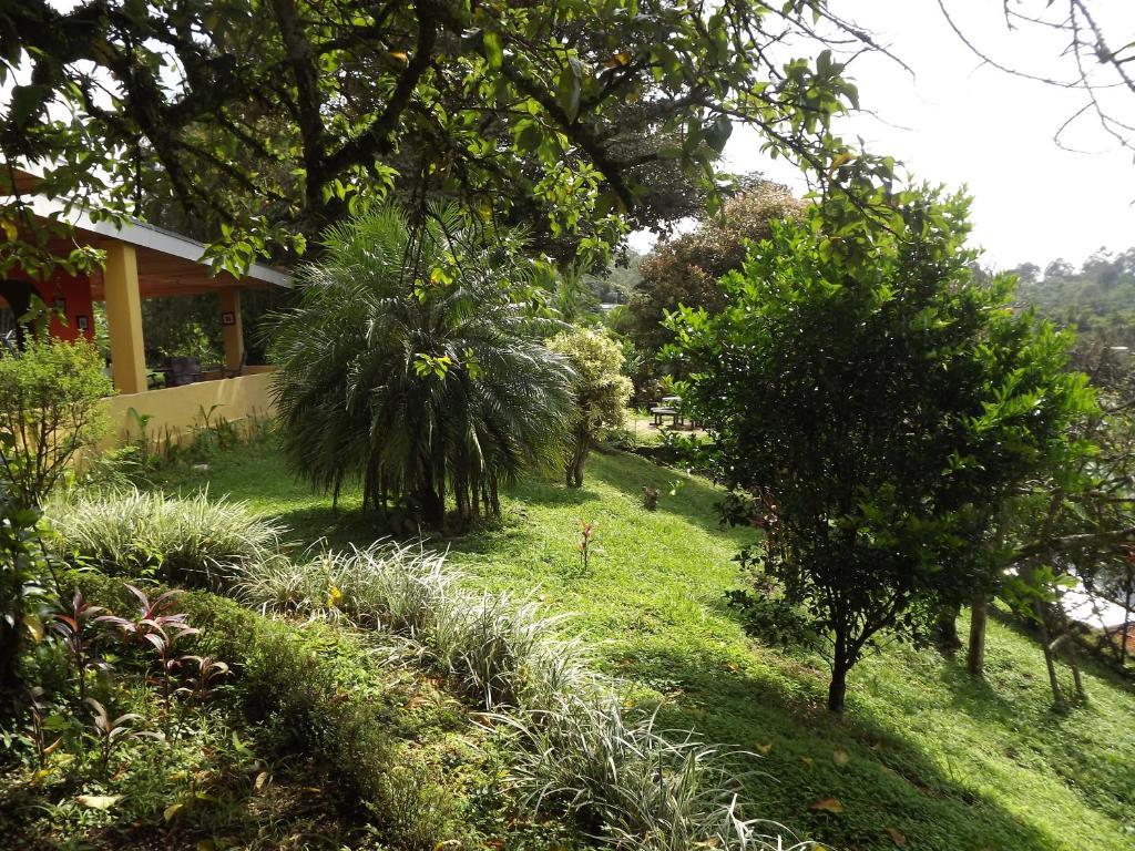 Pilas Aparthotel Villa Pacande & Rooms חדר תמונה